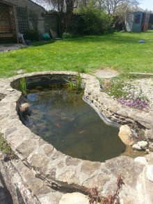 Pond Maintenance Image